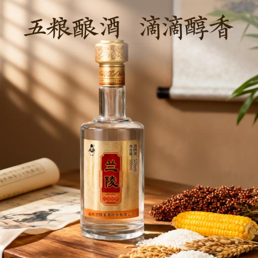 兰陵 纯粮经典 52度优级浓香型白酒500ml*6瓶整箱 纯粮酿造【下单到手两箱】 商品图2