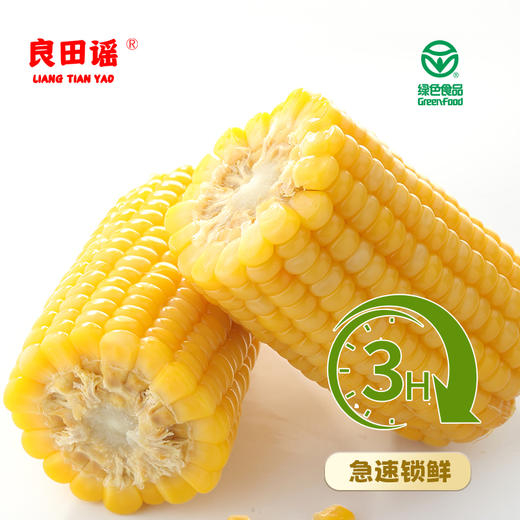 【叮叮优选好物-非自营】良田谣东北糯玉米2025年头茬A级黄糯玉米 （精品礼盒装） 商品图3