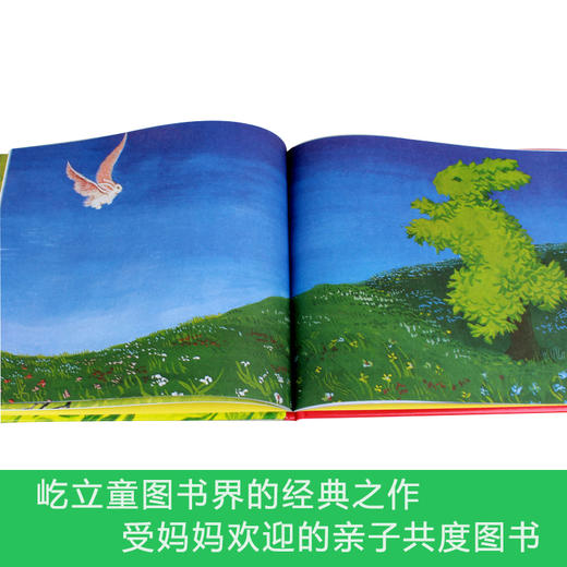 世界精选图画书：逃家小兔 3-6岁 【学校指定】 商品图1