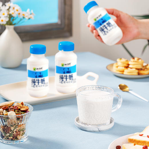 【光明&小西牛】青藏高原纯牛奶 青海牛奶 高原特色瓶装牛奶243ml*12瓶 商品图7
