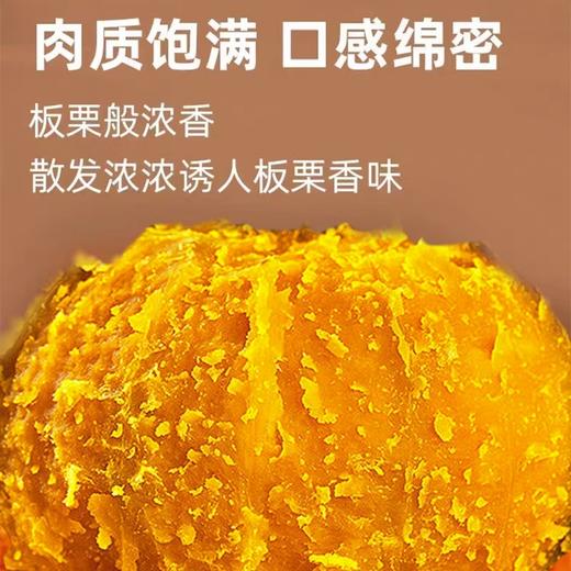 【宜昌助农馆】贝贝南瓜礼盒 带箱5斤单果350-500g礼盒(5-6个） 商品图3