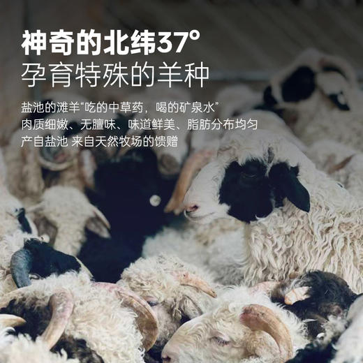 ²【盐池滩羊全家福】50串到7斤 嫩而不膻的羊蝎子/羊排/羊前腿肉任选  HM02-CRMM-LY 商品图2