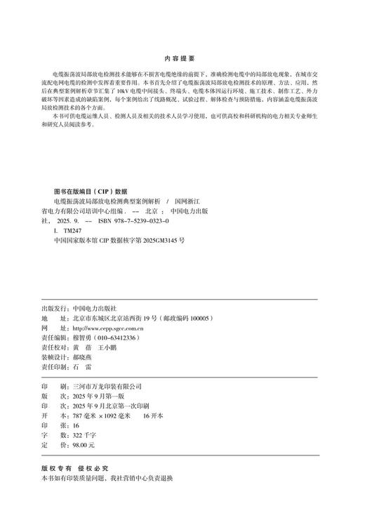 电缆振荡波局部放电检测典型案例解析 商品图3