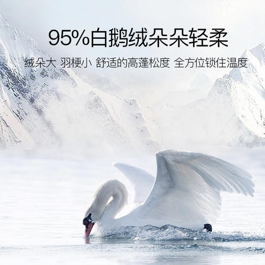 西川国产白鹅绒空调被 商品图2
