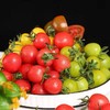 【皮薄肉厚】三色小番茄 3斤(±2两)  酸甜多汁坏果包赔 商品缩略图4