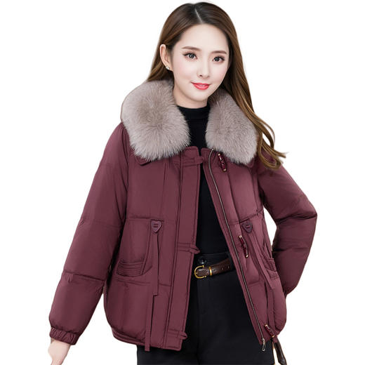 QYM LC05白鸭绒羽绒服洋气毛领外套 商品图4