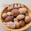 小空山有机段木香菇（基地直发-中通包邮）|1斤、2斤装，来自河南南召，生产者：李鹏【合作生产，公平贸易】 商品缩略图0
