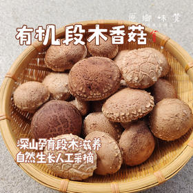 小空山有机段木香菇（基地直发-中通包邮）|1斤、2斤装，来自河南南召，生产者：李鹏【合作生产，公平贸易】