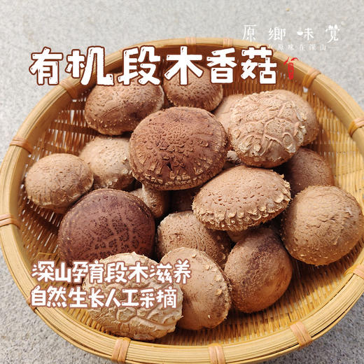 小空山有机段木香菇（基地直发-中通包邮）|1斤、2斤装，来自河南南召，生产者：李鹏【合作生产，公平贸易】 商品图0