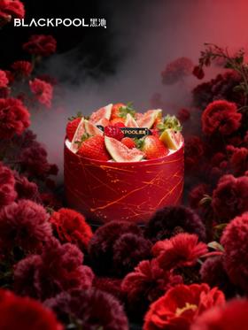 射手座·浆果地 | 黑池