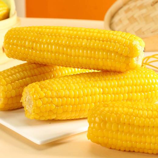 元鲜拾光 东北黄糯玉米 甜糯双绝 新鲜采摘 香甜可口 220g/根*8根/袋 商品图1