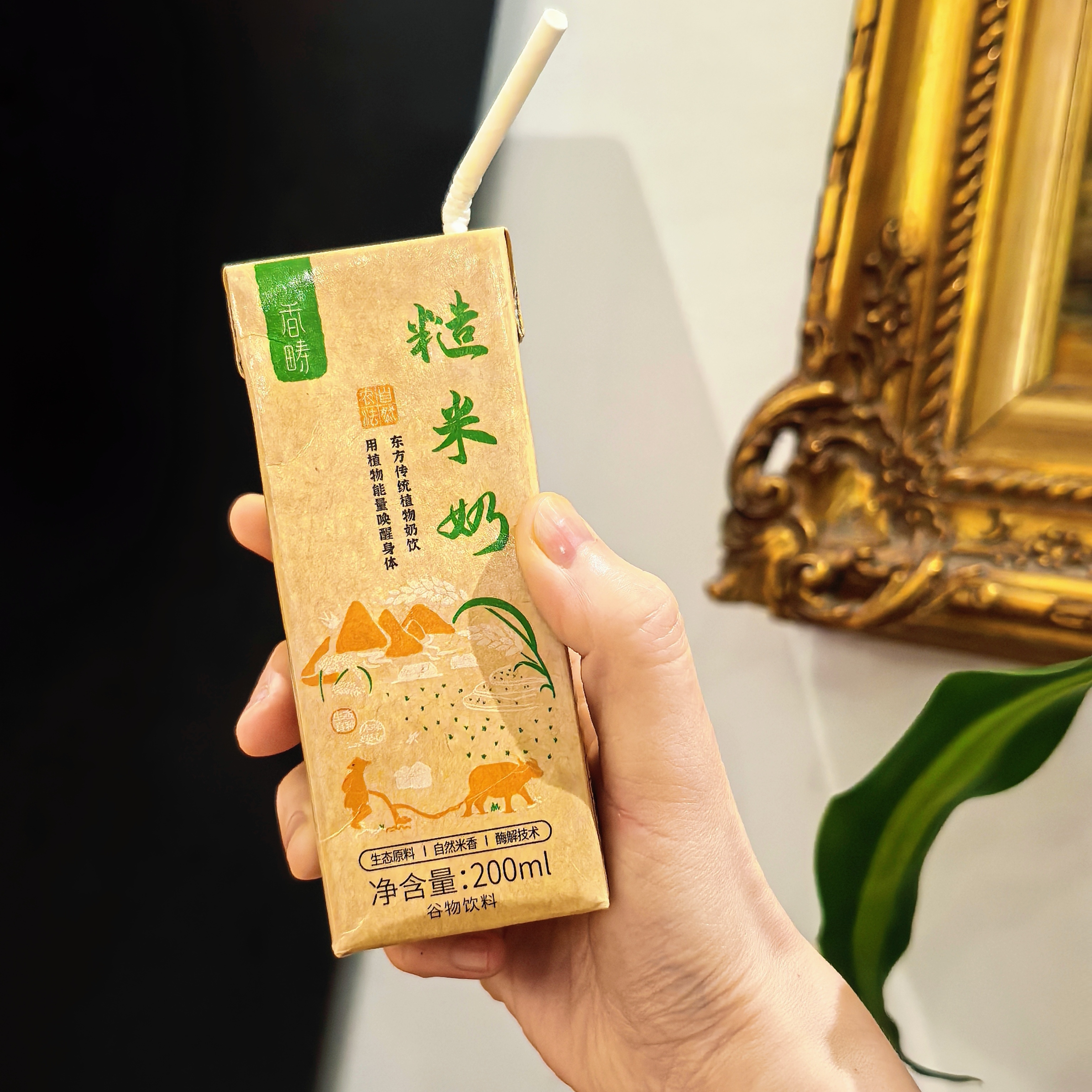 [屁侠推荐]谦益香畴 生态糙米奶200ml 直接喝的糙米营养奶 0乳糖 入口丝滑 自然清甜 