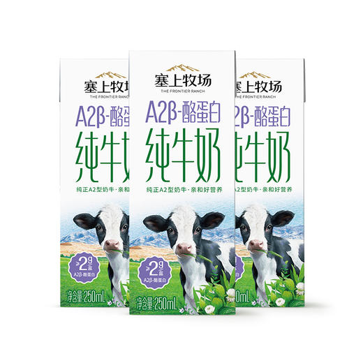 塞上牧场A2β-酪蛋白纯牛奶 250ml×12盒 商品图1