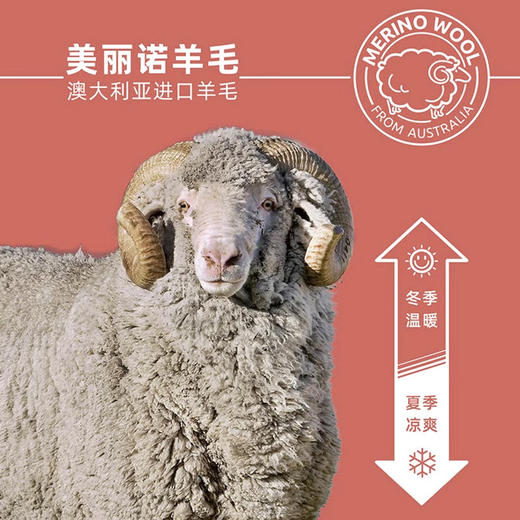 2双赛乐探索旅行travel MD美丽诺羊毛袜登山徒步保暖透气 商品图5