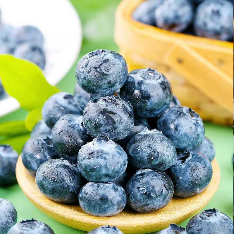 云南现摘蓝莓 果肉饱满 酸甜浓郁 高山生态新鲜水果