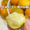 【融安滑皮金桔】不打农药 不催熟 产地直发 甜脆爽口 商品缩略图2