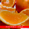 有机赣南脐橙 商品缩略图1