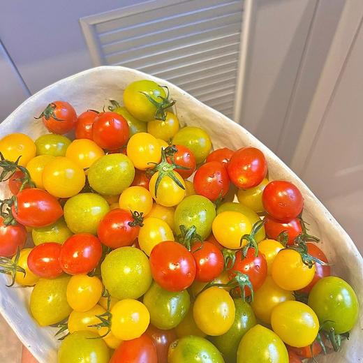 【皮薄肉厚】三色小番茄 3斤(±2两)  酸甜多汁坏果包赔 商品图1