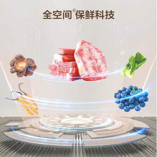 海尔（Haier）冰箱 BCD-576WGHMD1BYCU1 商品图5