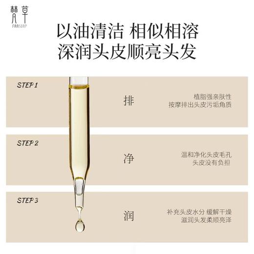 梵草头皮精华油 商品图4