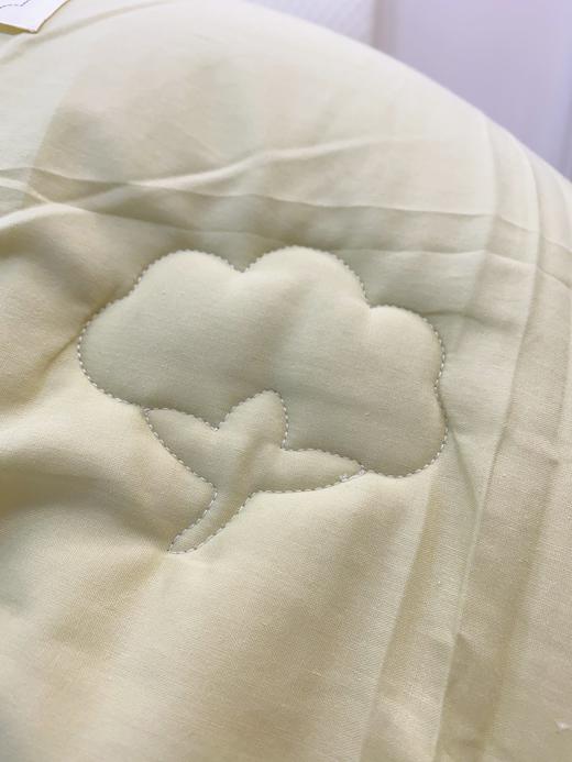 松植屋2025冬季新款100%全棉双层纱棉花被新疆棉花填充秋冬厚款新疆长绒棉纱布棉花被子 商品图5