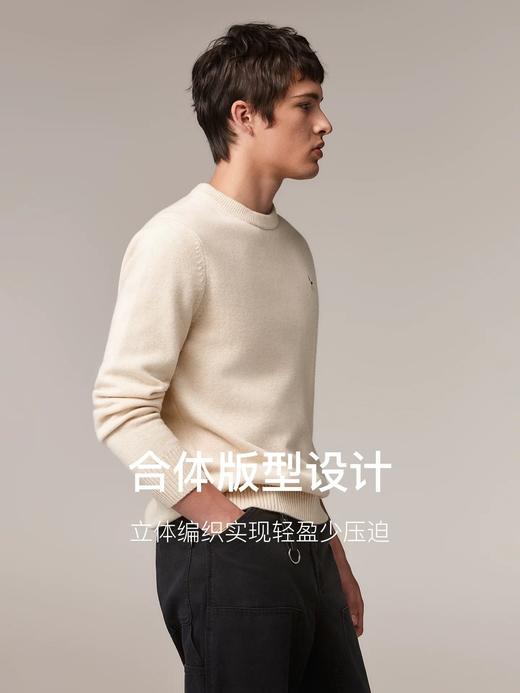 一店k （贸易公司订单！）25ss樶～新男款合集！皇冠狗针织衫太顶了！100%绵羊毛 25年秋冬新款圆领套头衫 商品图8