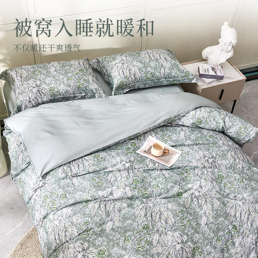多喜爱 全棉磨毛套件【100%全棉加厚磨毛】【进口磨毛技术】【保暖不易掉毛】叶韵悠眠 商品图2