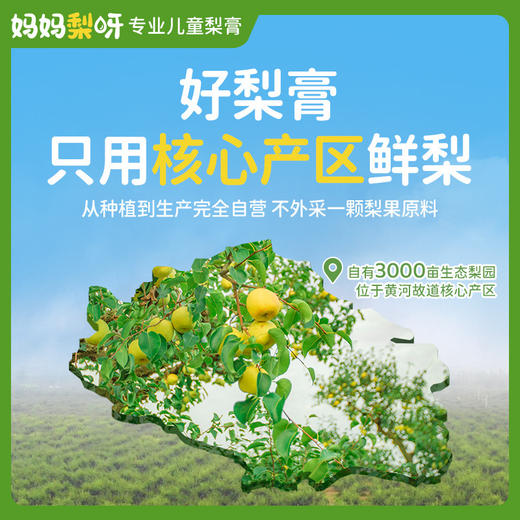 妈咪梨呀 纯净梨膏150g/盒 商品图2