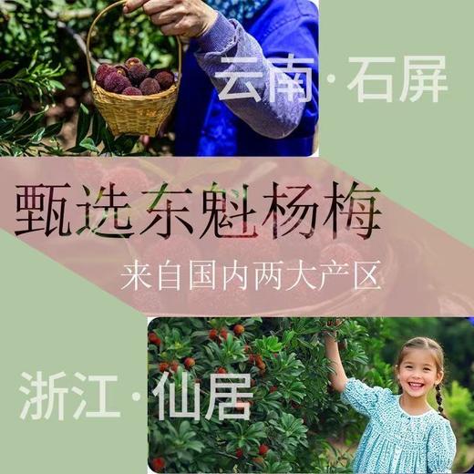 【久】艾柚香 夏黑葡萄果汁饮料1L*6瓶/箱 商品图2