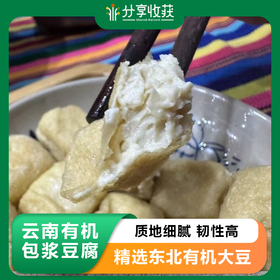 云南石屏有机包浆豆腐 | 合作生产 | 基地直发*Organic fermented tofu