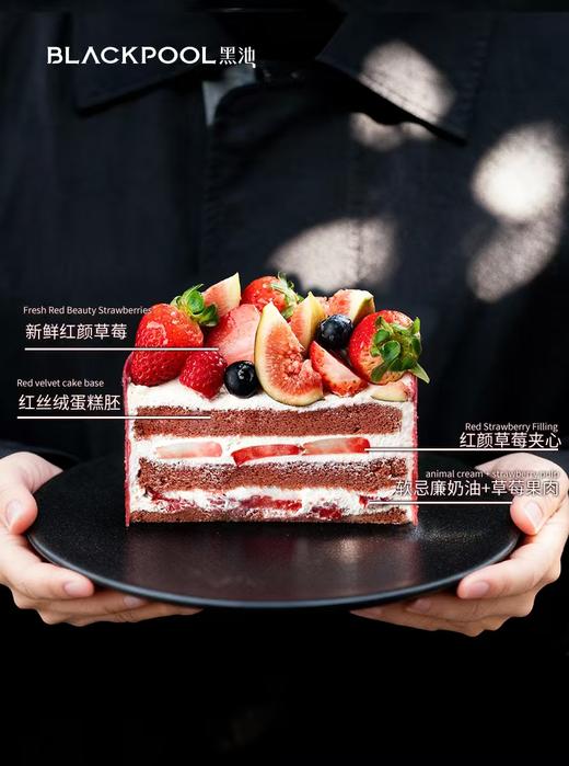 射手座·浆果地 | 黑池 商品图5