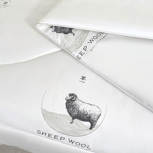 保罗大卫 鄂尔多斯绵柔优质羊毛被180*200cm 商品图5