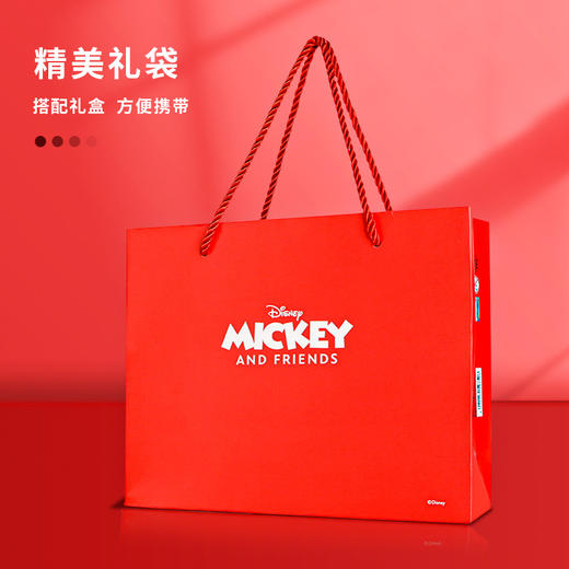 圣诞节礼物【迪士尼0.5钢笔礼盒套装】学生生日礼物 高档文具礼品 商品图3