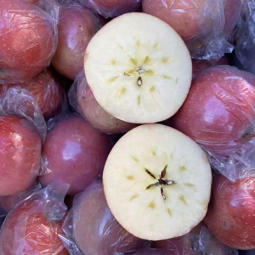 山西膜袋红富士苹果，脆嫩多汁、甜润回甘 商品图5