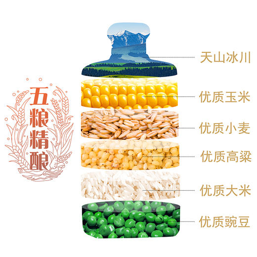 【久】52°伊力老陈酒(十年)500ml/瓶 商品图1