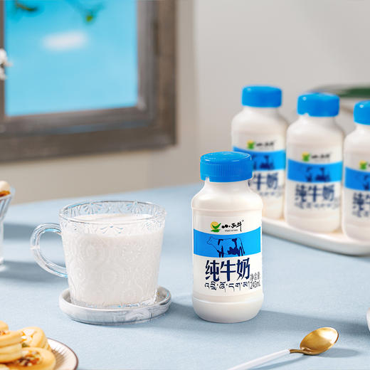 【光明&小西牛】青藏高原纯牛奶 青海牛奶 高原特色瓶装牛奶243ml*12瓶 商品图8