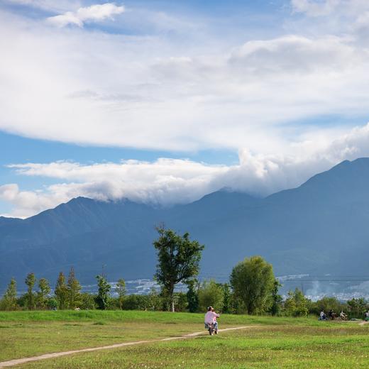 何以茶马古道，从腾冲到大理的人文传奇新生【理想国】 7天6晚 商品图14