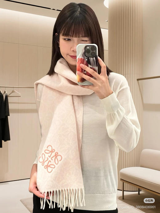 1010-1 渠道货 lew 新款 牙刷绣 徽标字母 羊毛羊绒 对比棋盘格 流苏长款围巾 商品图13