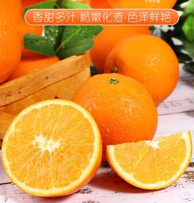 秭归 新溪源 九月红爆汁橙