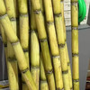 云南青皮甘蔗（现削现切去结） 商品缩略图3