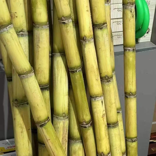 云南青皮甘蔗（现削现切去结） 商品图3