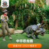 2026年中华恐龙园B 2大2小家庭畅游卡 商品缩略图0