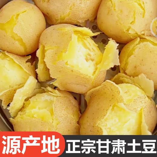 兰州精品土豆5千克 商品图3