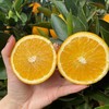 湖南麻阳冰糖橙 当季现摘 皮薄多汁 纯甜无酸橙子 商品缩略图5