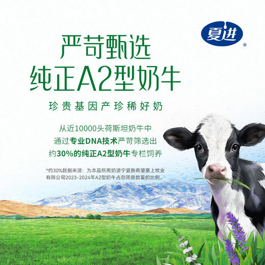 塞上牧场A2β-酪蛋白纯牛奶 250ml×12盒 商品图4