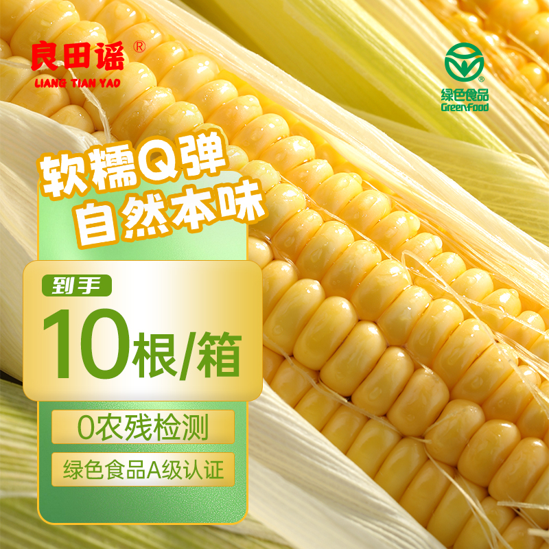 【叮叮优选好物-非自营】良田谣东北糯玉米2025年头茬A级黄糯玉米 （精品礼盒装）