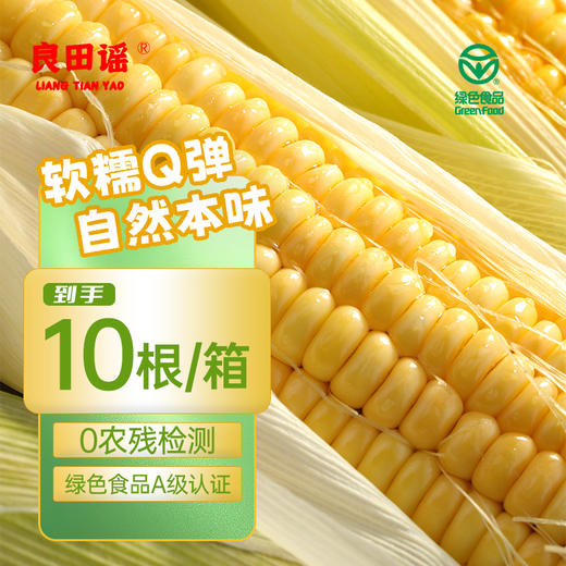 【叮叮优选好物-非自营】良田谣东北糯玉米2025年头茬A级黄糯玉米 （精品礼盒装） 商品图0