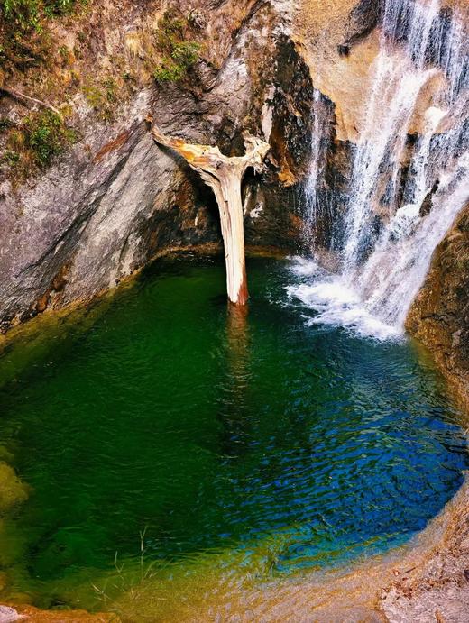 云南| 腾冲高黎贡山翡翠瀑布群10公里一日徒步，高黎贡山/原始森林/翡翠瀑布群/竹林秘境/野生温泉！ 商品图6