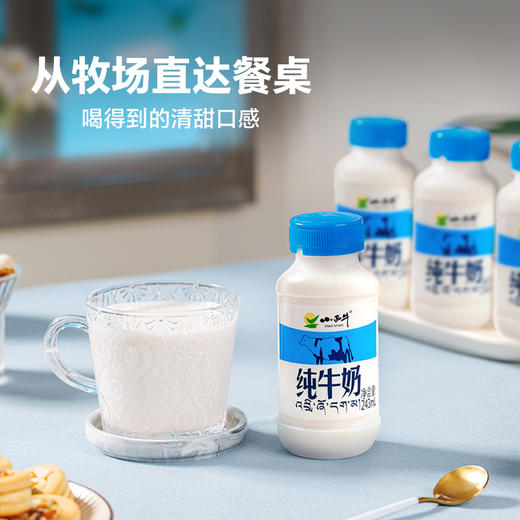 【光明&小西牛】青藏高原纯牛奶 青海牛奶 高原特色瓶装牛奶243ml*12瓶 商品图3