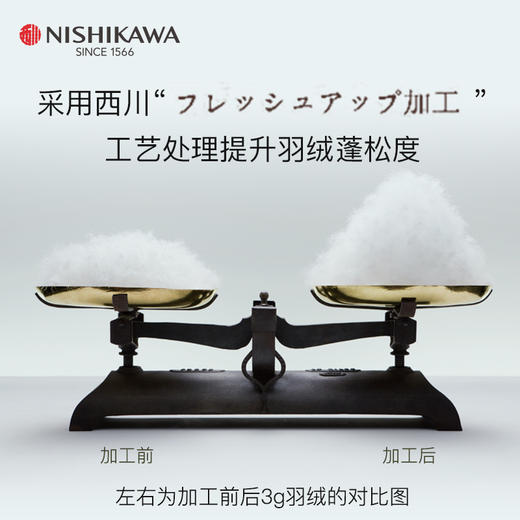 西川国产白鹅绒空调被 商品图5